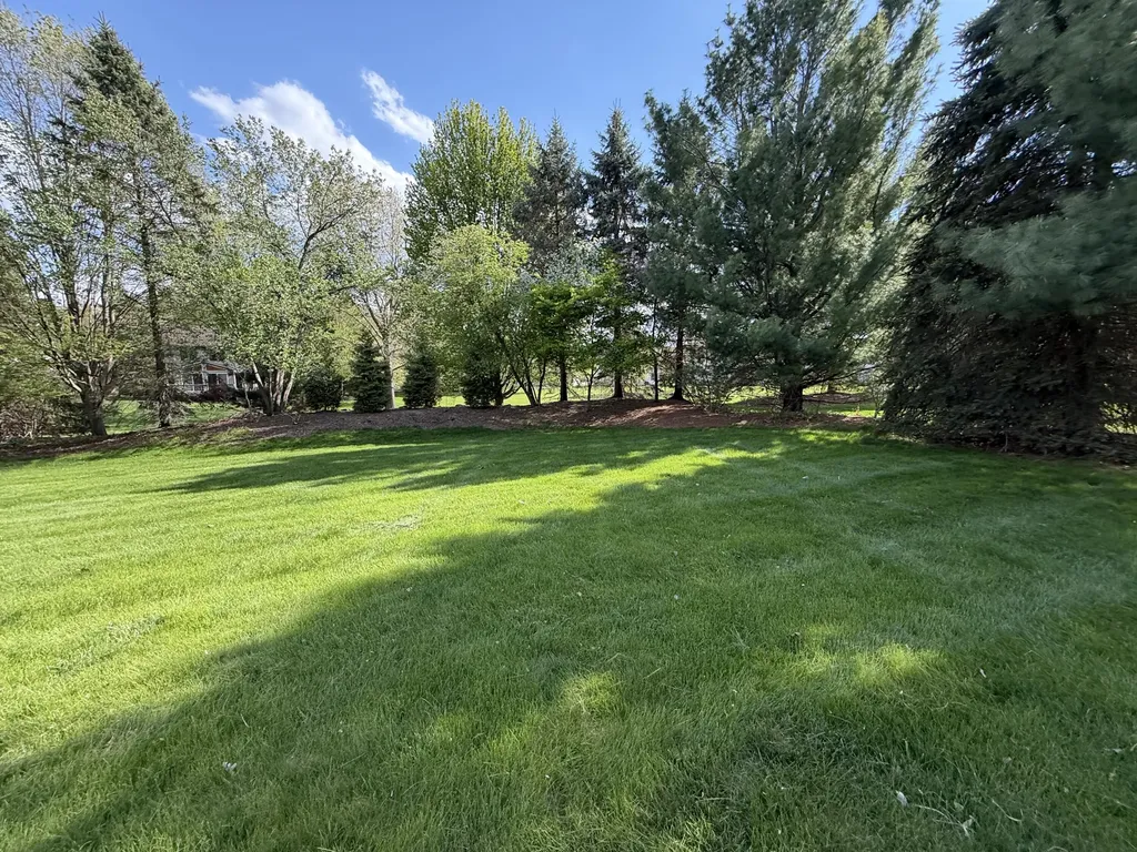 1835 Brookview Drive Lodi Township MI 48176
