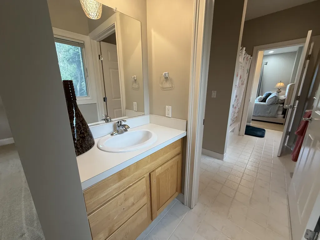 1835 Brookview Drive Lodi Township MI 48176