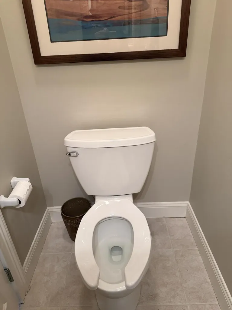 1835 Brookview Drive Lodi Township MI 48176