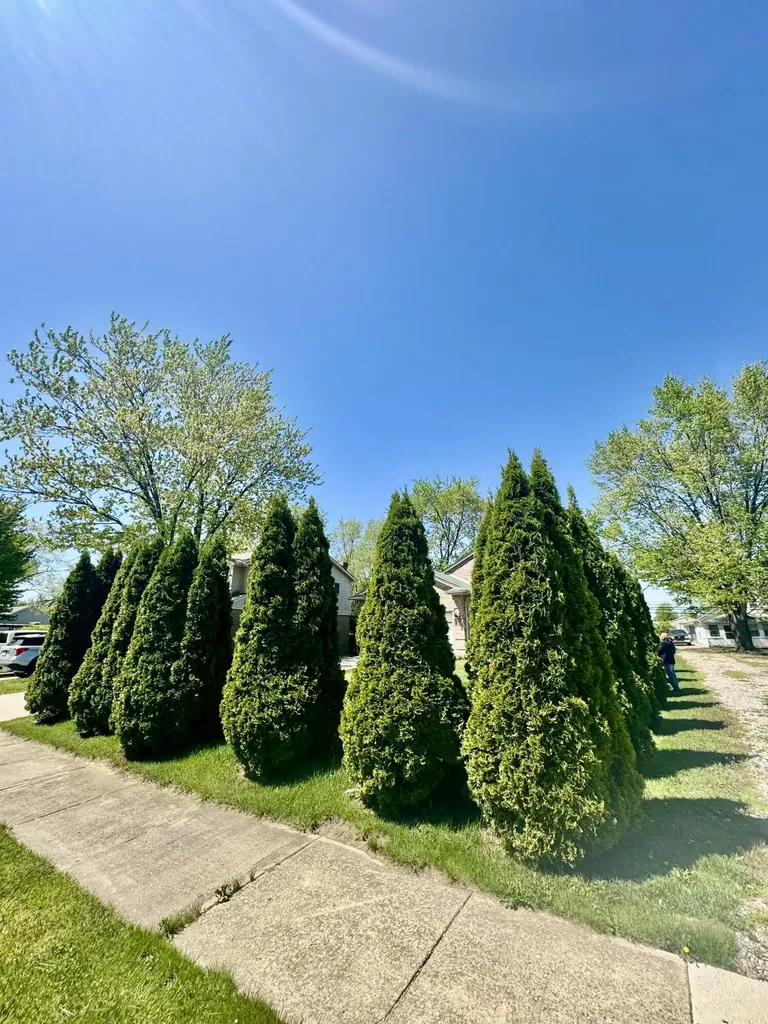 15338 Flanders Street Southgate City MI 48195