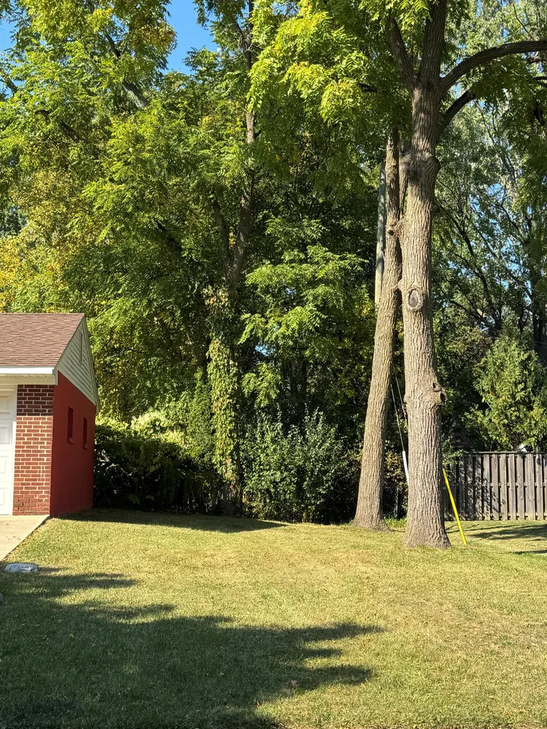 1720 Avondale Avenue Ann Arbor City MI 48103