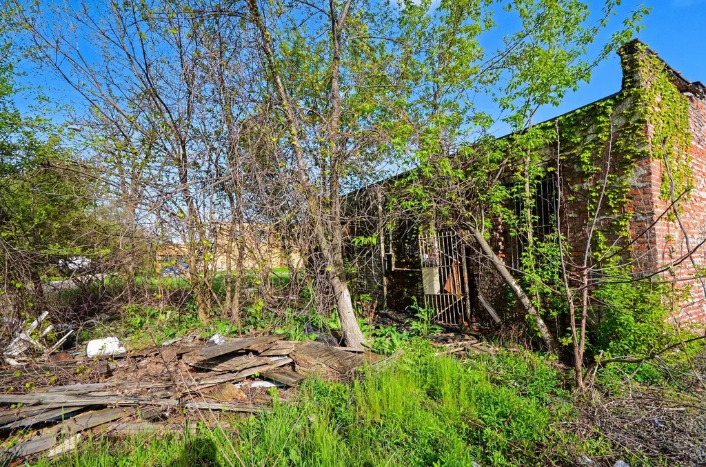 10539 W Chicago Detroit City MI 48204