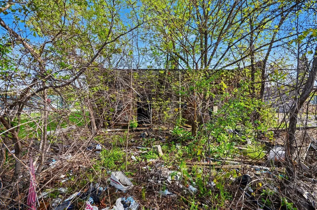 10539 W Chicago Detroit City MI 48204
