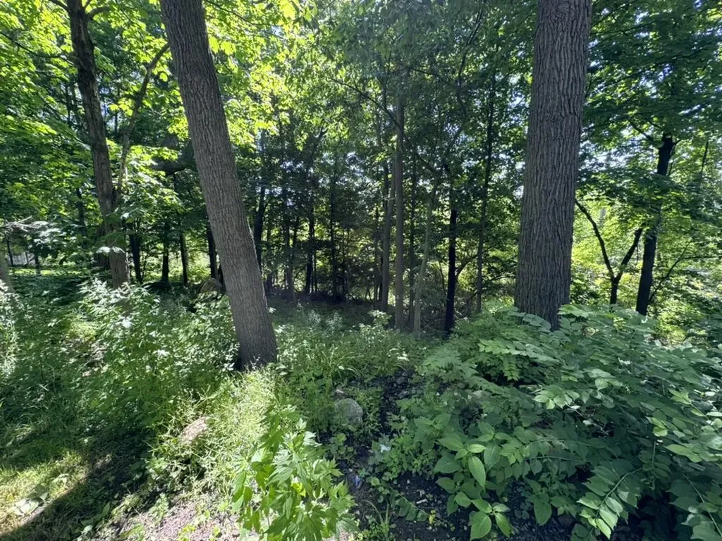 1308 Traver Road Ann Arbor City MI 48105