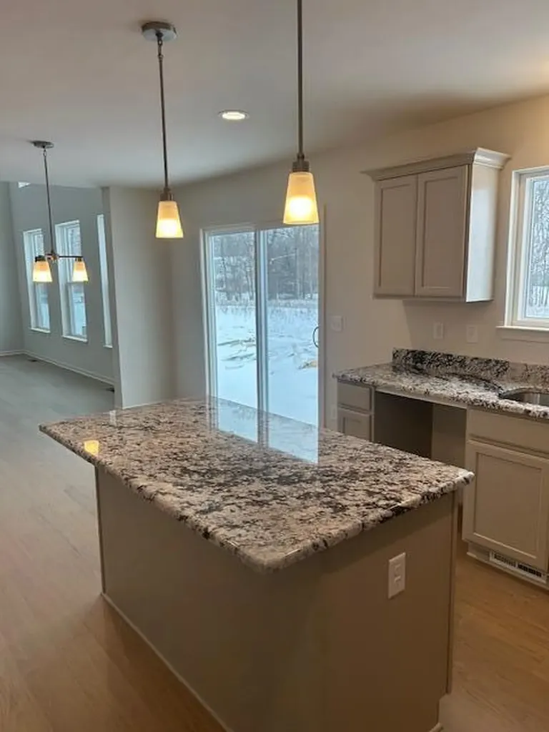 6450 Earl June Court Dexter Township MI 48130