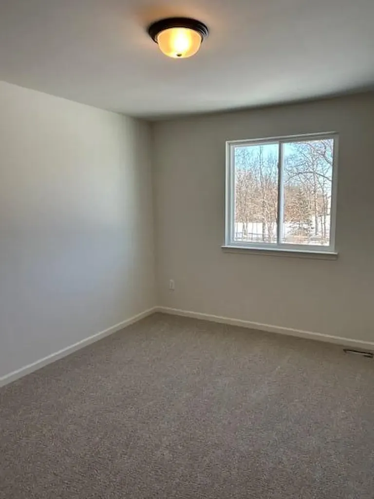 6470 Earl June Court Dexter Township MI 48130