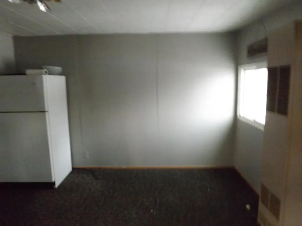 163 Lincoln Alley Belvidere Township MI 48891