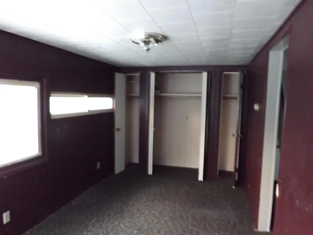 163 Lincoln Alley Belvidere Township MI 48891