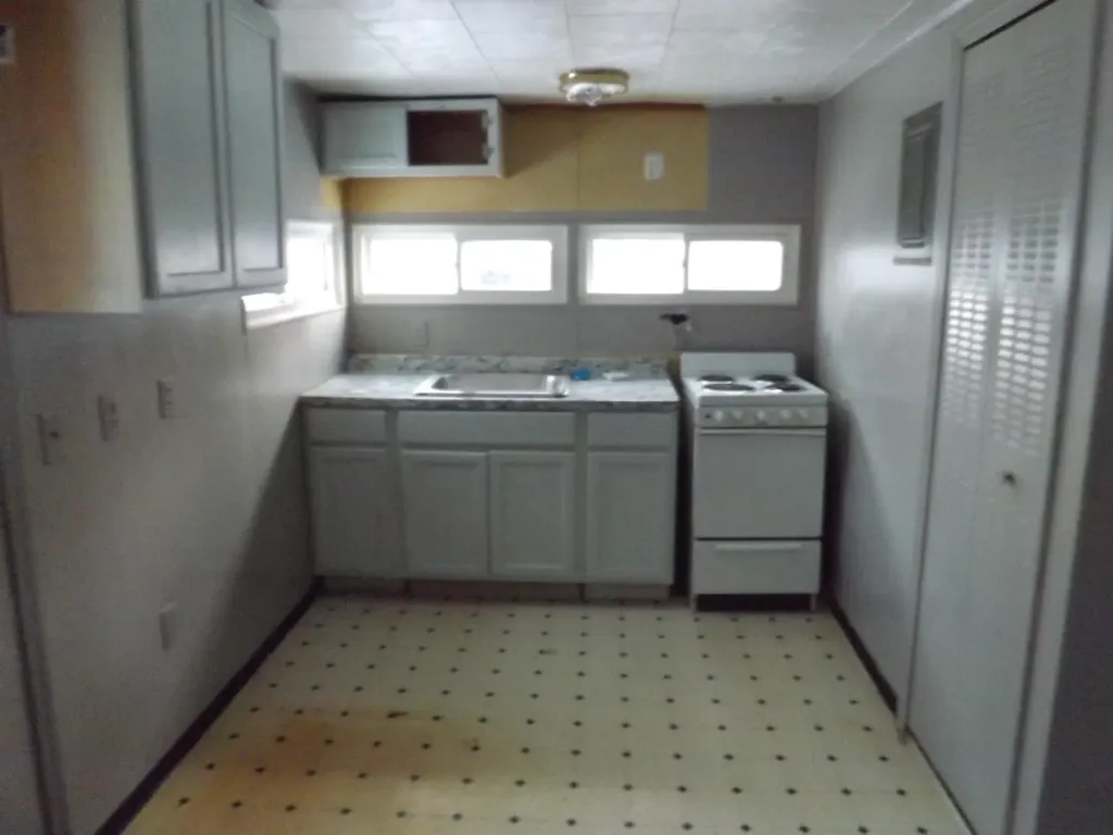 163 Lincoln Alley Belvidere Township MI 48891