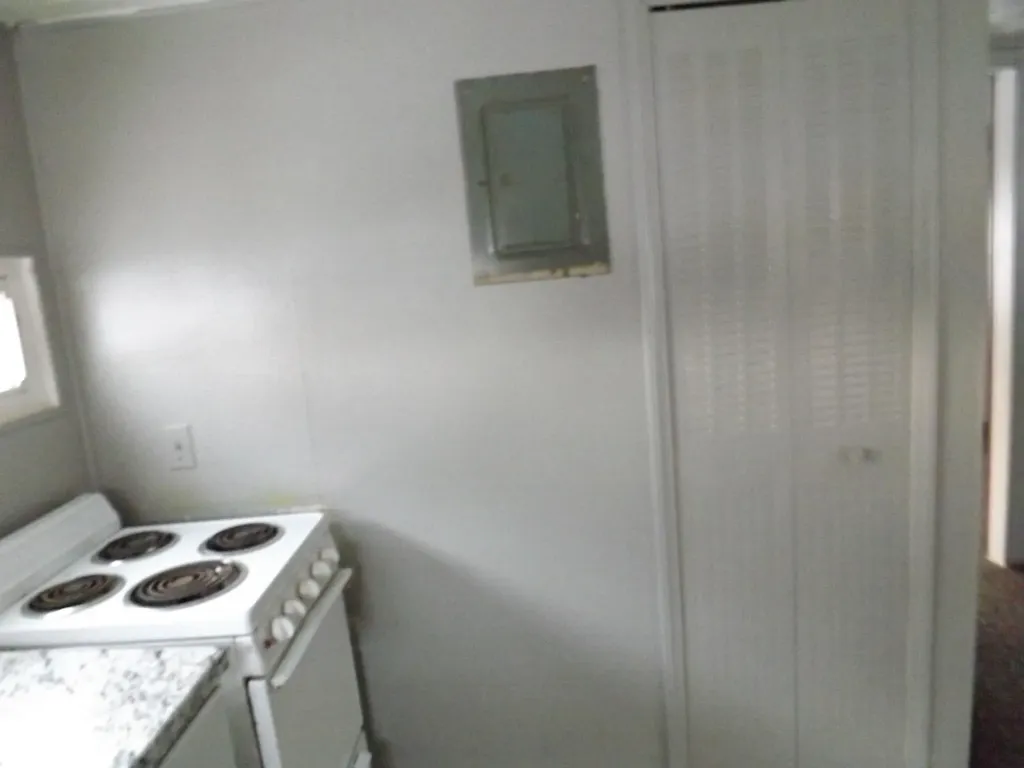 163 Lincoln Alley Belvidere Township MI 48891