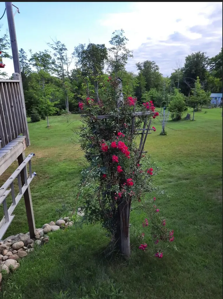 21652 Ridge Road Burt Township MI 49839
