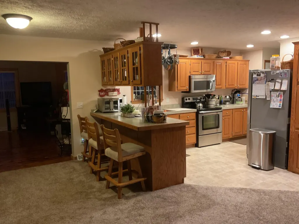 21652 Ridge Road Burt Township MI 49839