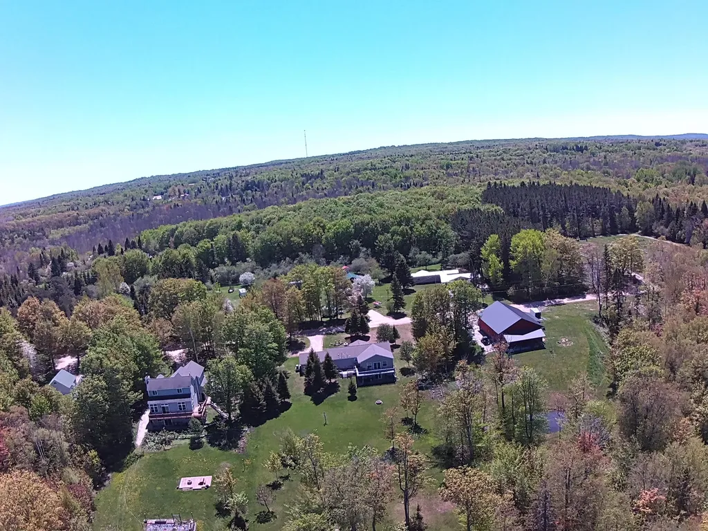21652 Ridge Road Burt Township MI 49839