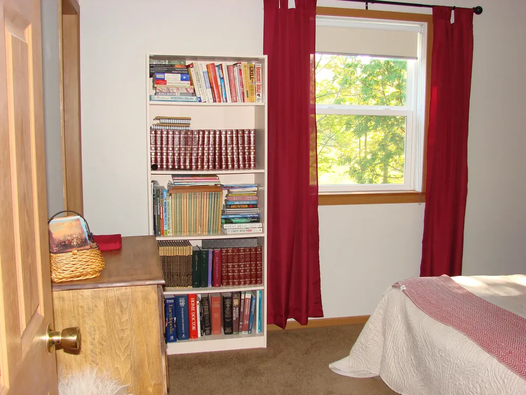 21652 Ridge Road Burt Township MI 49839