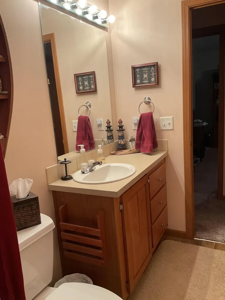 21652 Ridge Road Burt Township MI 49839