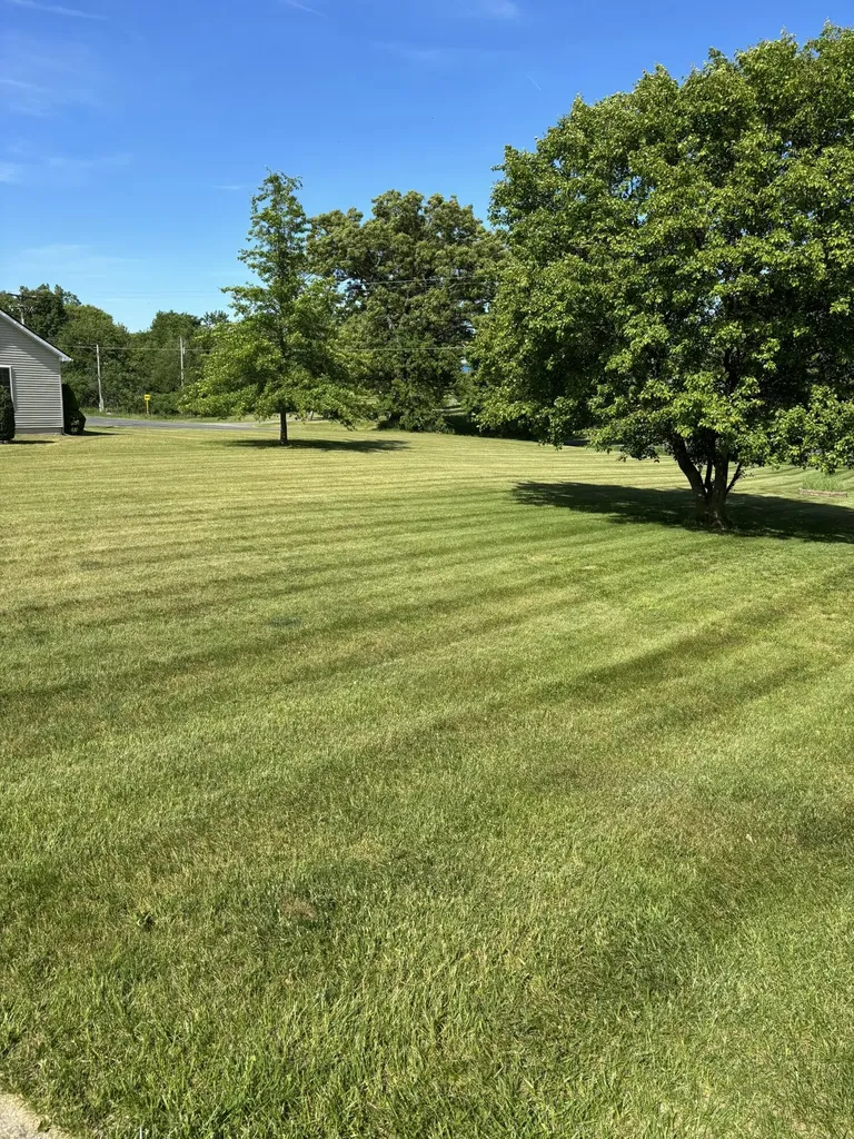 10289 Lee Road Grass Lake Charter Township MI 49240