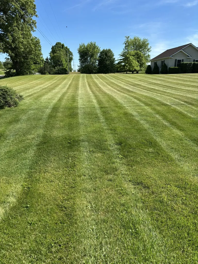 10289 Lee Road Grass Lake Charter Township MI 49240