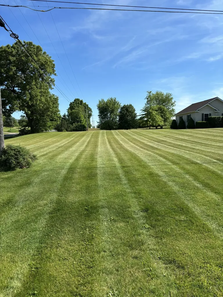 10289 Lee Road Grass Lake Charter Township MI 49240