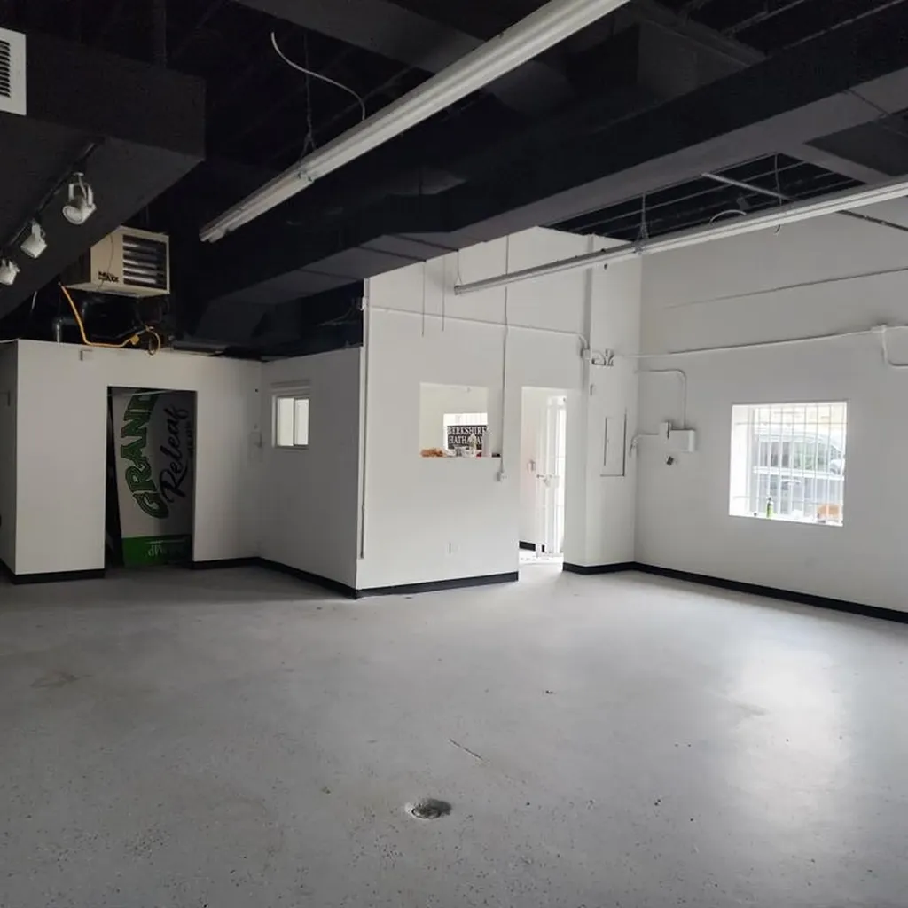 229 W Cesar E. Chavez Avenue Lansing City MI 48906