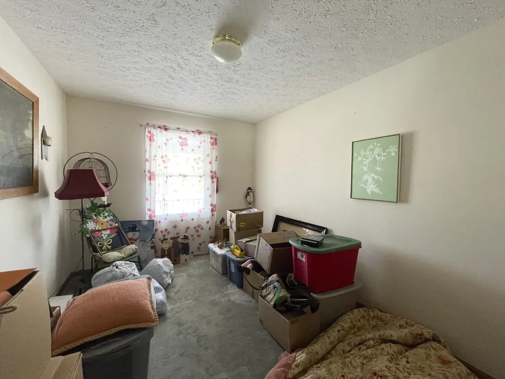 13631 Bemis Road Bridgewater Township MI 48158