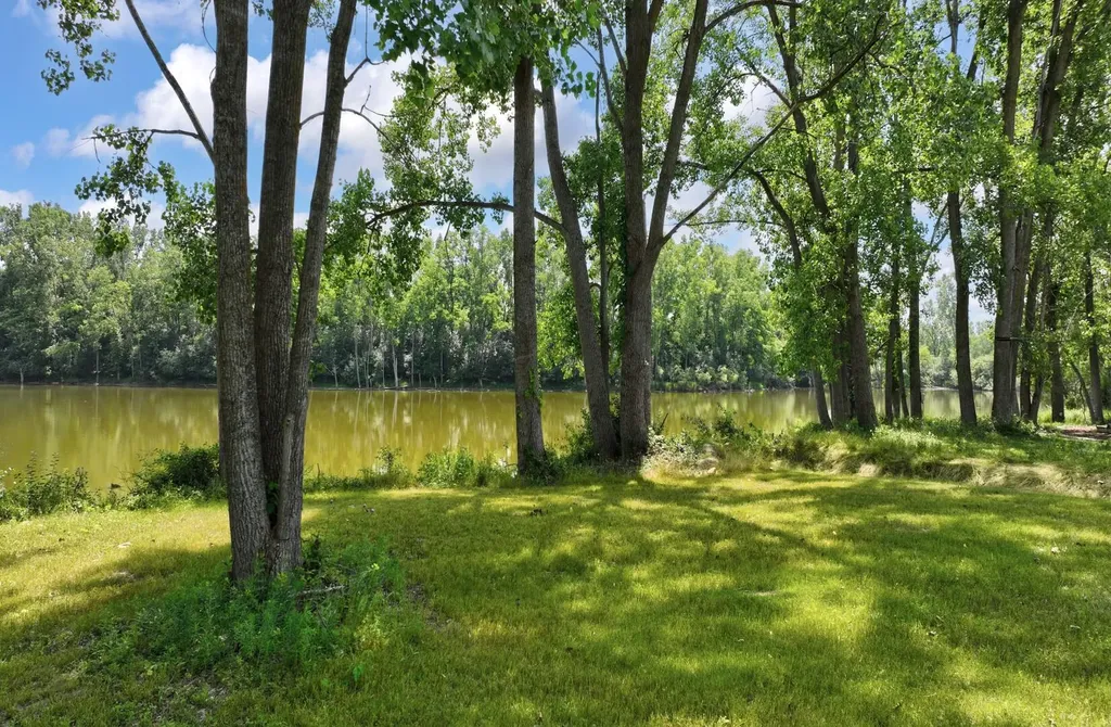 5980 Cherry Hill Road Superior Charter Township MI 48105