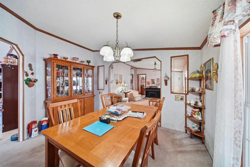 909 Savannah River Drive Adrian City MI 49221