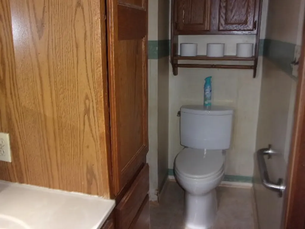 321 S Wood Street Hudson Township MI 49247