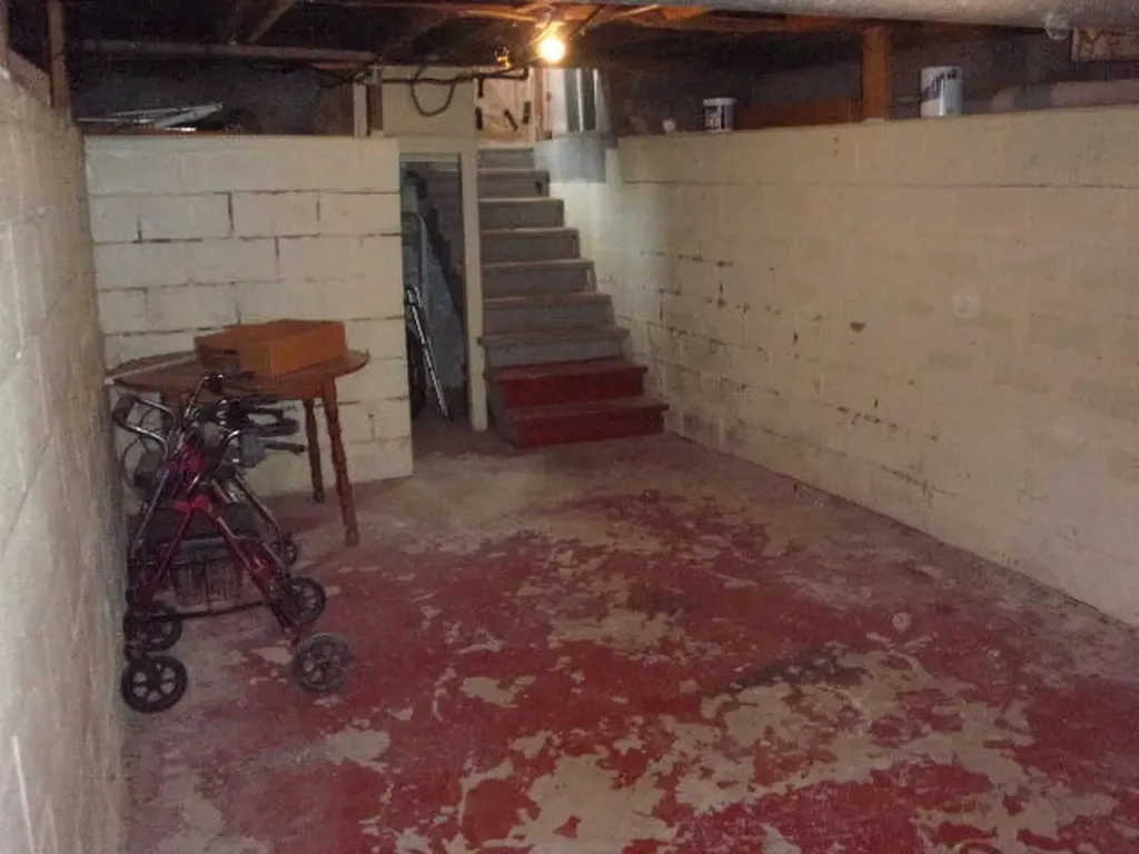 321 S Wood Street Hudson Township MI 49247
