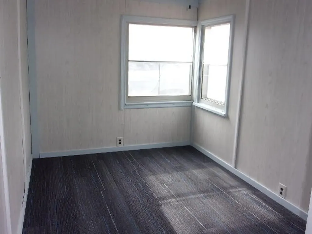 321 S Wood Street Hudson Township MI 49247