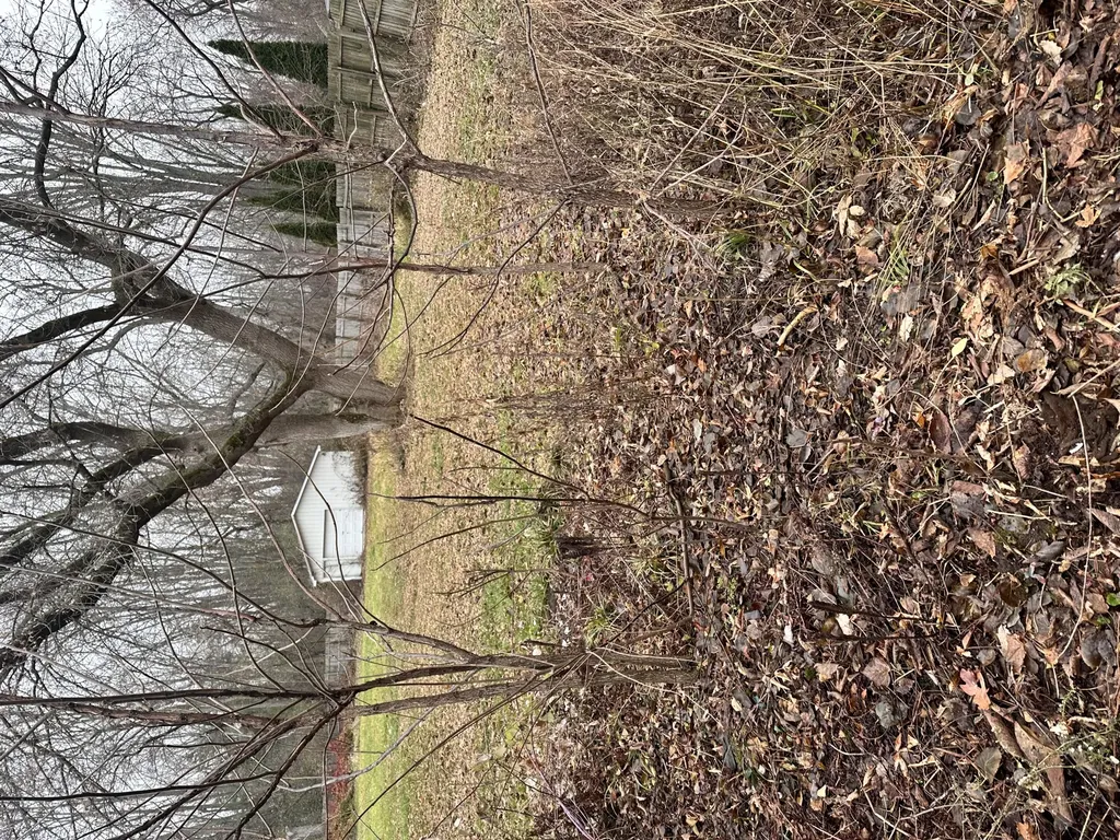 320 Lutzke Road Thomas Township MI 48609