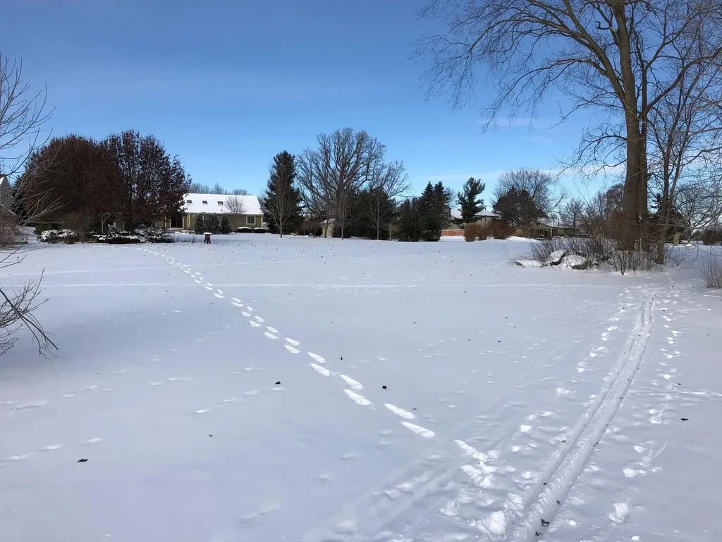 1335 N Silo Ridge Drive Pittsfield Charter Township MI 48108