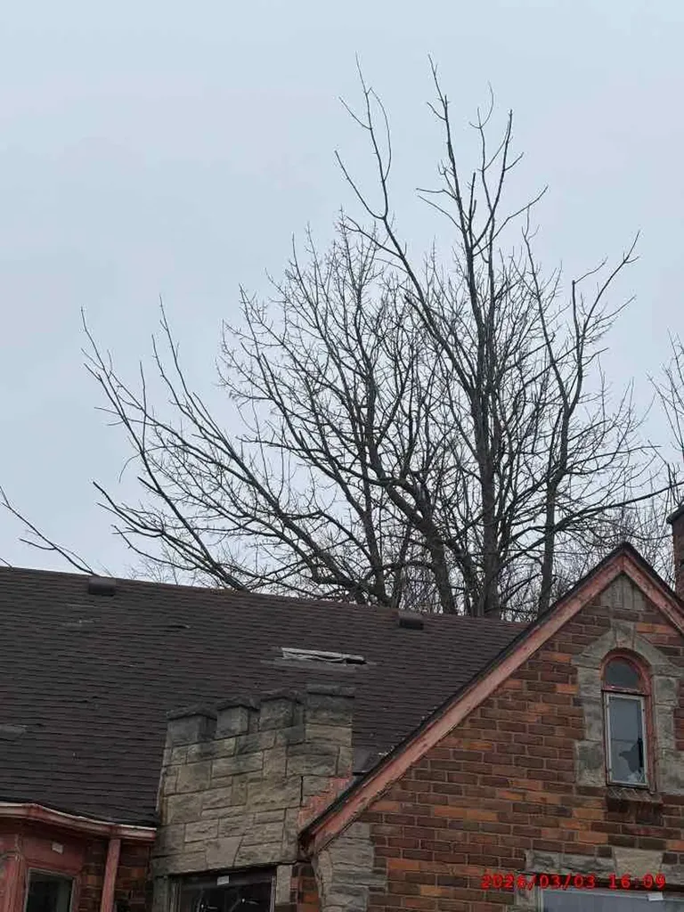 4605 Bedford Street Detroit City MI 48224