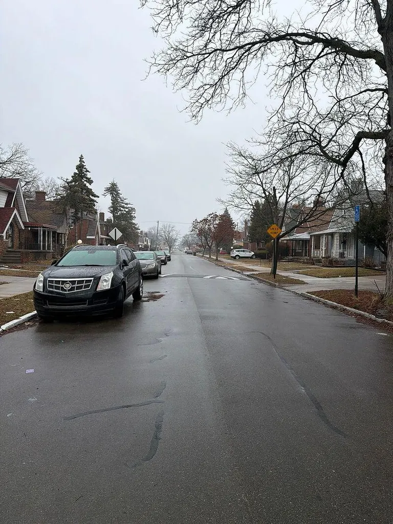 15775 Ward Avenue Detroit City MI 48227