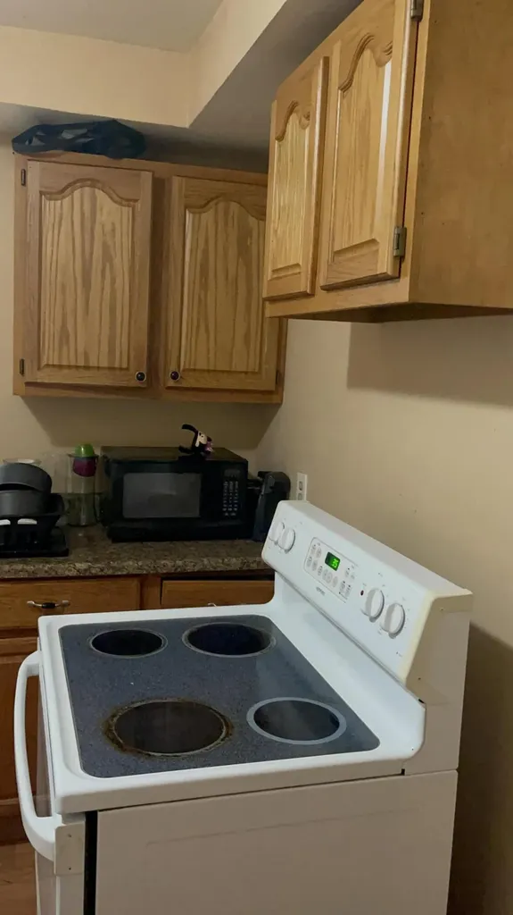19781 Plainview Avenue Detroit City MI 48219