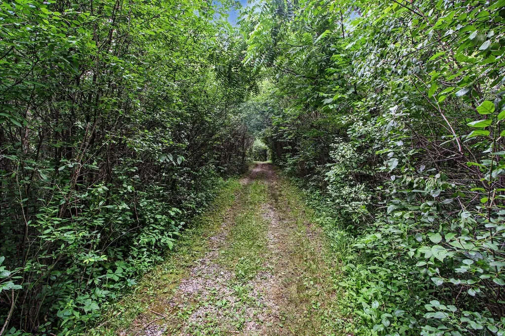 2736 S Wagner Road Lodi Township MI 48103