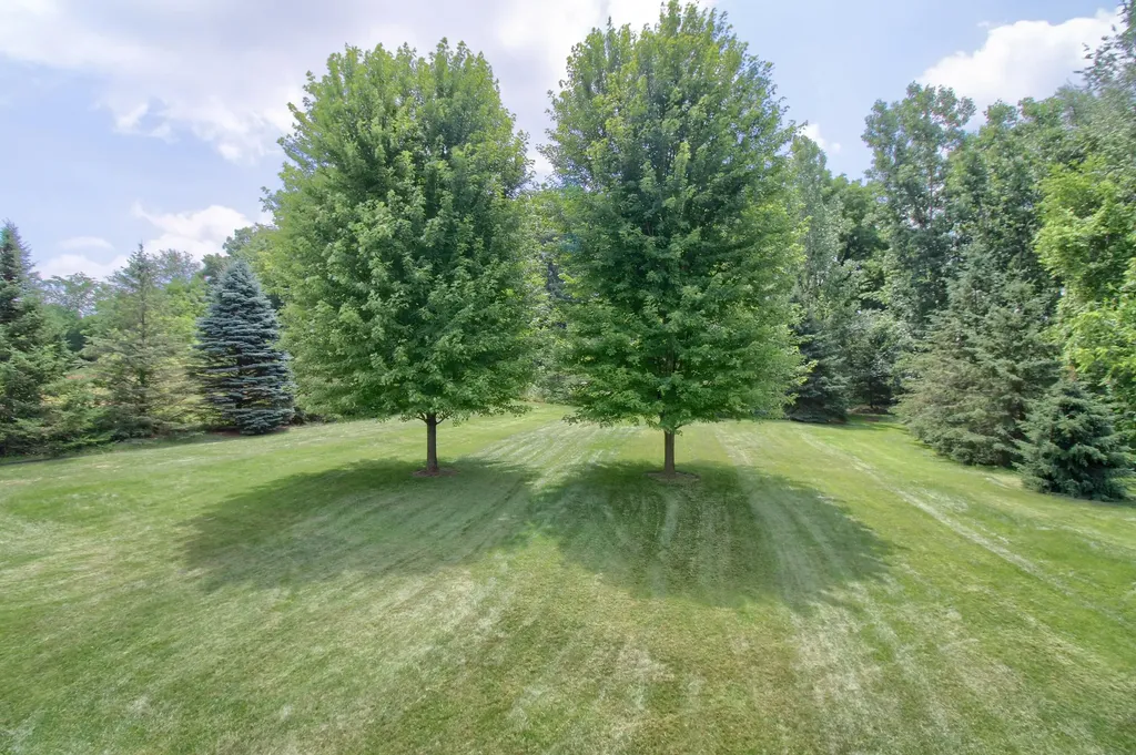 6833 N Meadows Pass Webster Township MI 48130