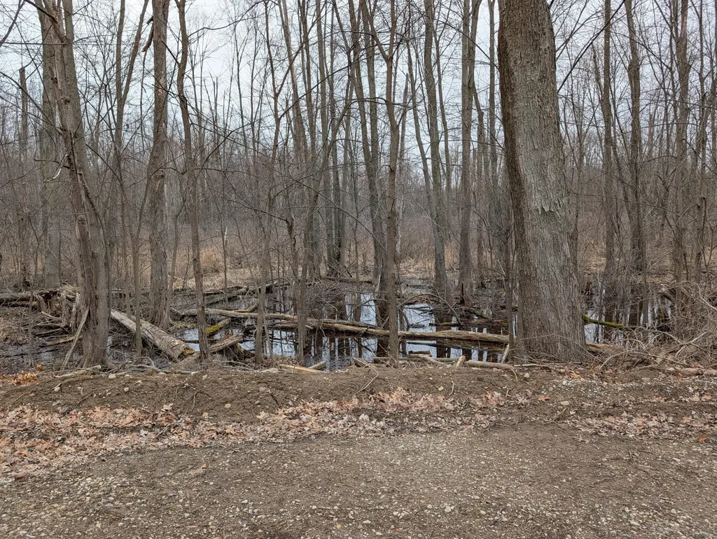 1610 Mull Road Manchester Township MI 49287