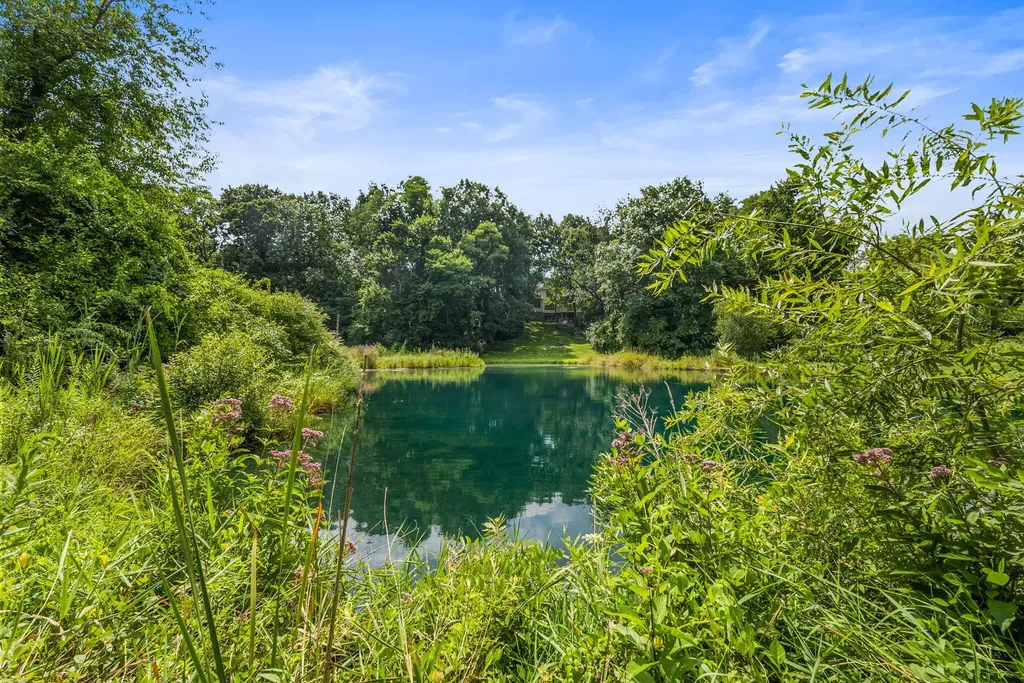 60 Timber Ridge Court York Charter Township MI 48160
