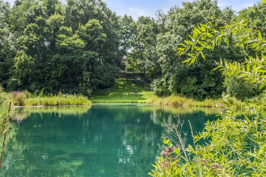 60 Timber Ridge Court York Charter Township MI 48160