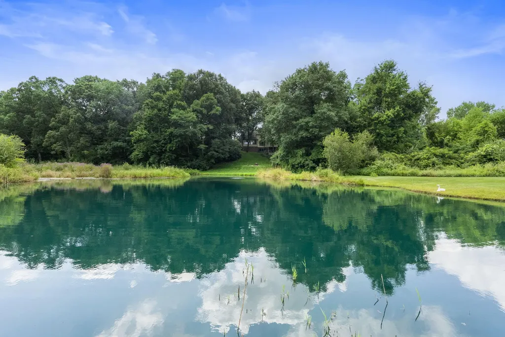 60 Timber Ridge Court York Charter Township MI 48160