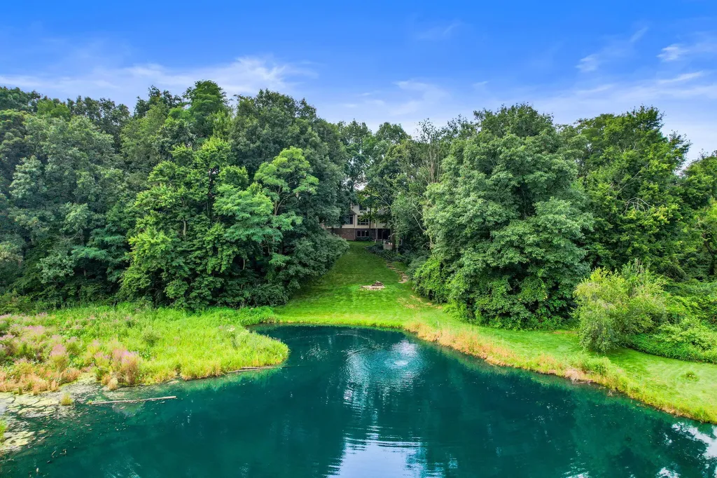 60 Timber Ridge Court York Charter Township MI 48160