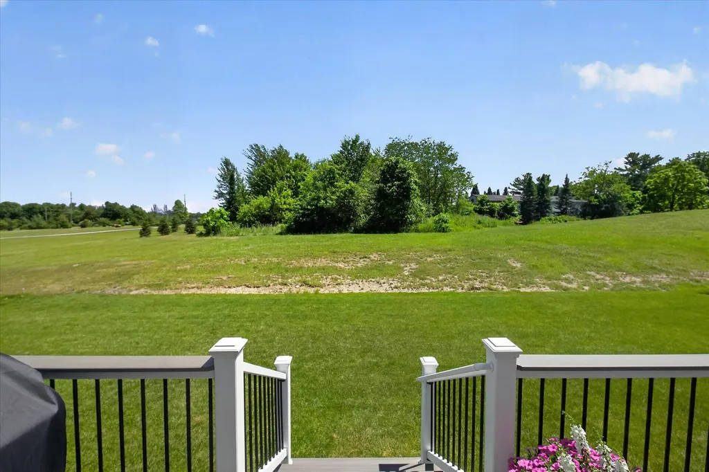 2747 Salt Springs Drive Saline Township MI 48176