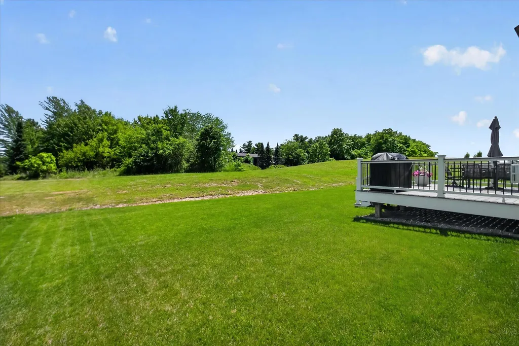 2747 Salt Springs Drive Saline Township MI 48176