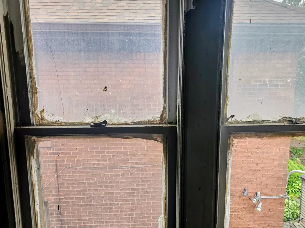Detroit City MI 48238