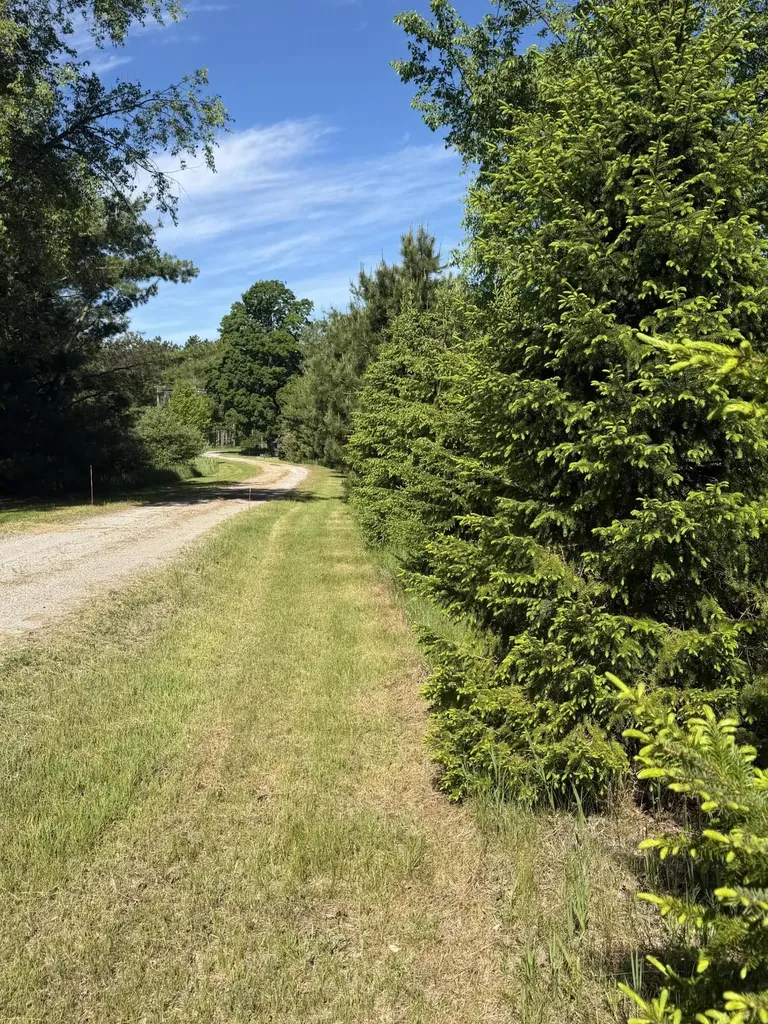 1595 S Poor Farm Road Harrisville Township MI 48745