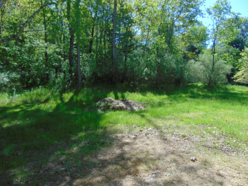 1595 S Poor Farm Road Harrisville Township MI 48745