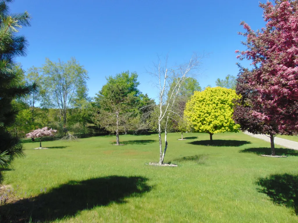 1595 S Poor Farm Road Harrisville Township MI 48745