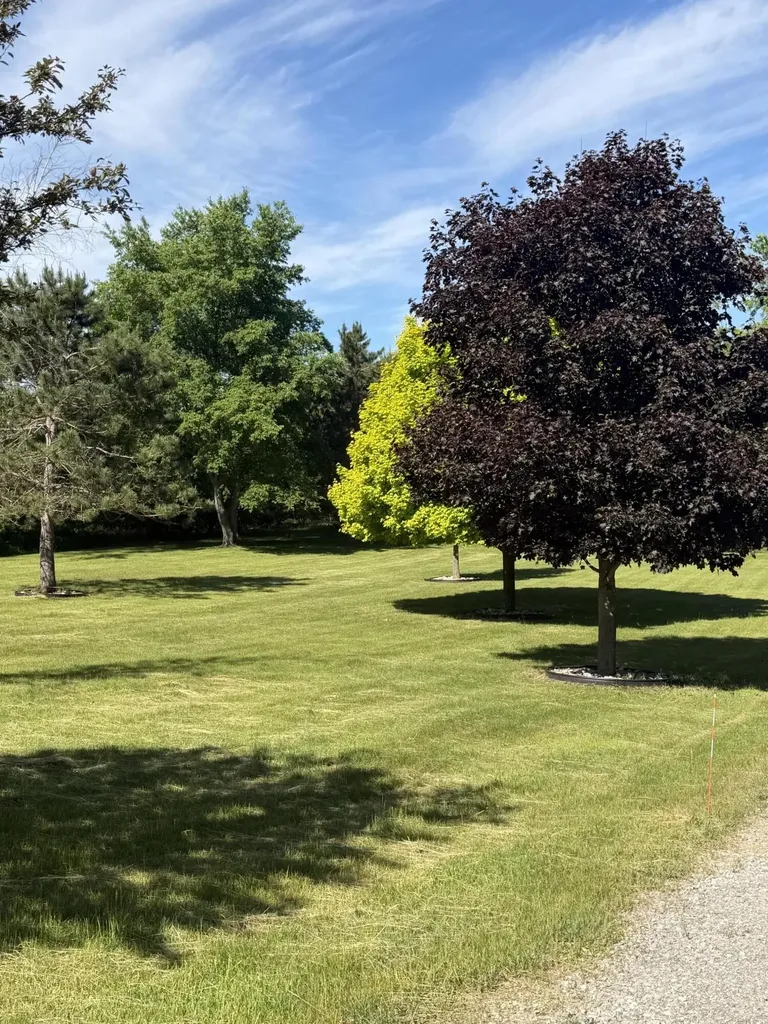 1595 S Poor Farm Road Harrisville Township MI 48745