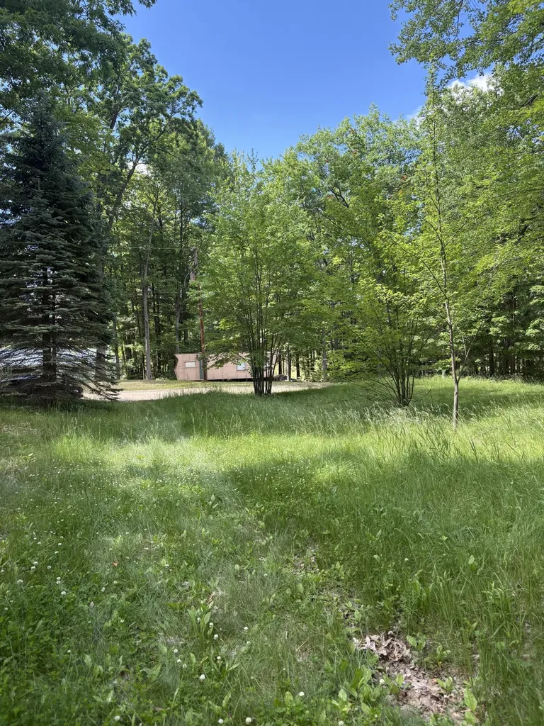 5339 Jerry Street Gladwin Township MI 48624