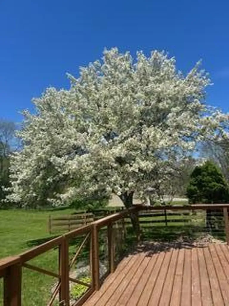 48 S Sashabaw Road Brandon Charter Township MI 48462